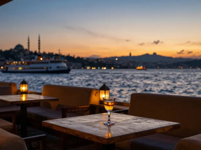 Istanbul's Nightlife Guide: From Sunset to Sunrise